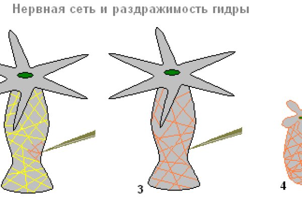 Kraken 8 at сайт